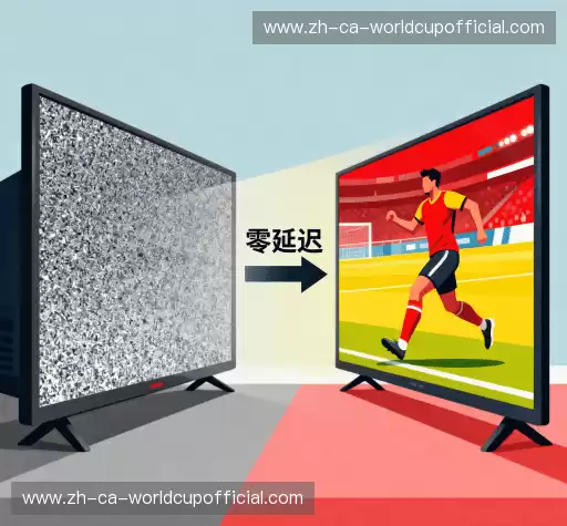 为什么选择我们